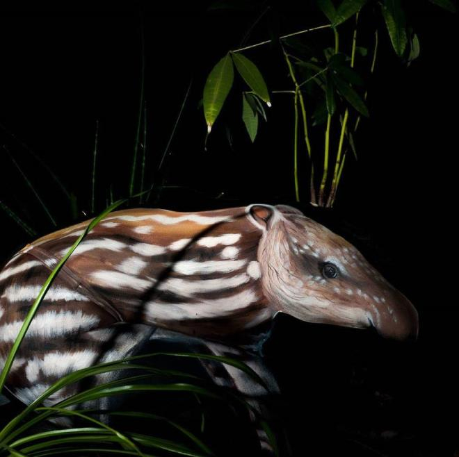 Gerçeği Ne Olduğunu Anlayınca Şaşıracaksınız!