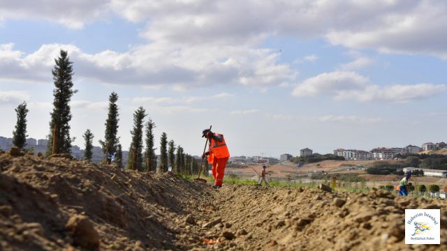 Yaşam Bahçesi'nde 20 Ton Mahsul Toplandı!