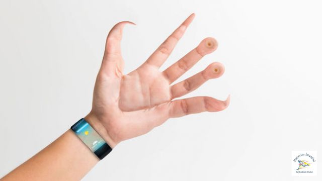 Evrim Teorisi Gerçek mi?