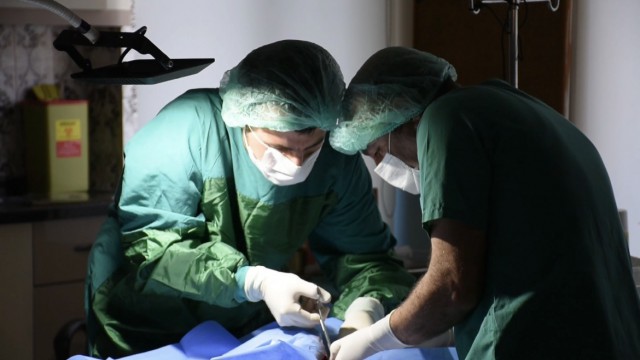 1,5 saatte kurtarılan kedi tedavi altına alındı