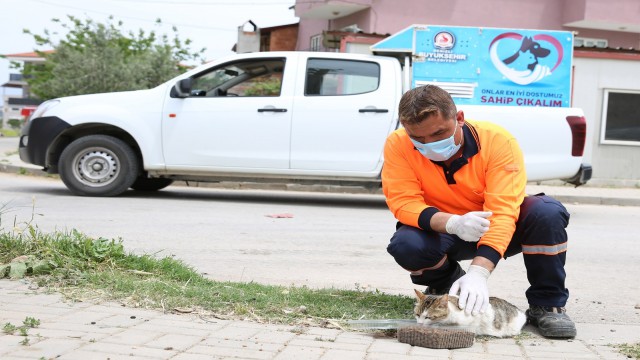 17 günlük tam kapanmada can dostları yalnız kalmıyor