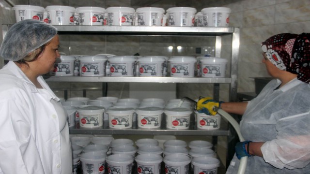 2 kadın günde 1 ton manda yoğurdu işliyor