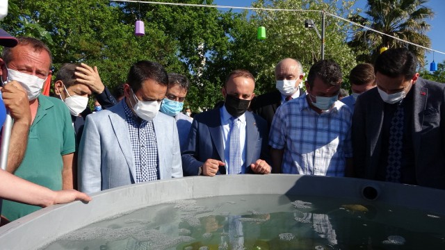 22 bin yavru balık Çanakkale Boğazına bırakıldı