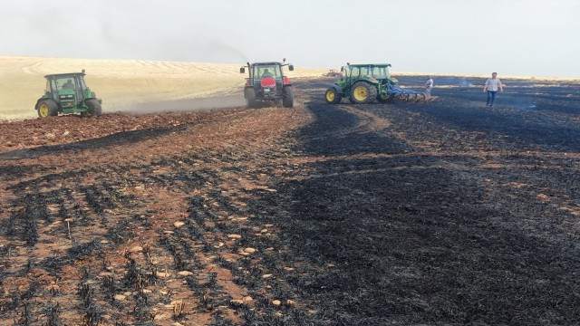 30 Dönümlük arpa küle döndü