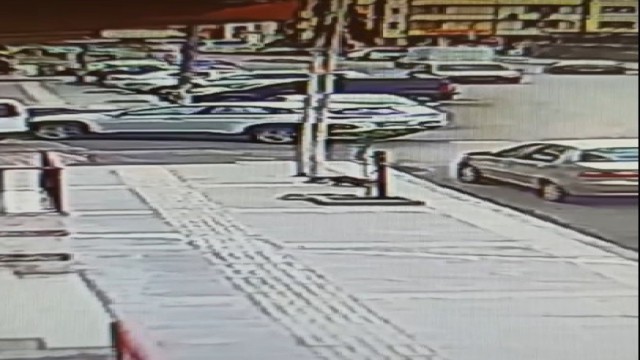 4. kattan aşağıya dört ayak üstüne düşen kedi kamerada