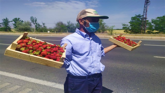 48 yıldır meşhur “Kuyulu” çileğini yol kenarında satıyor