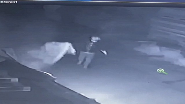 5 ayrı yeri yakan şüpheli saniye saniye kamerada