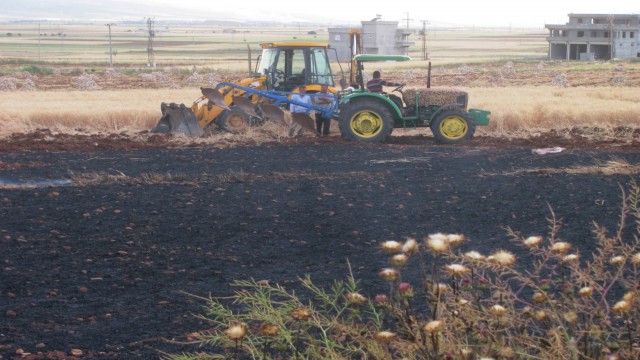 52 dönüm arazide ekili buğday ve arpa kül oldu