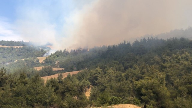 Adanada orman yangını