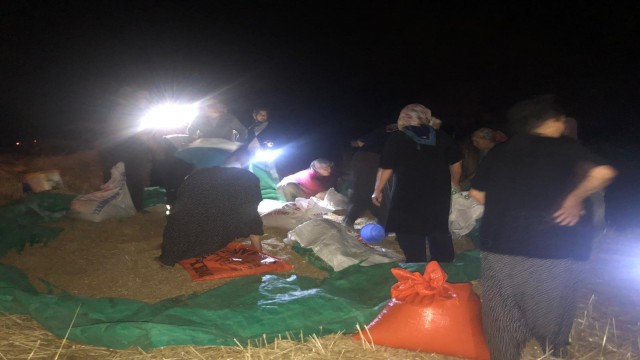 Adanada orman yangını