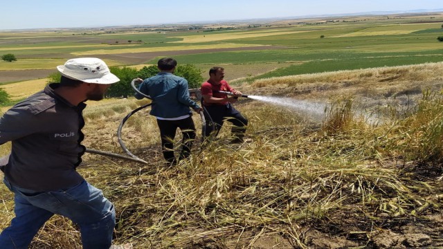 Adıyamanda 10 dönüm buğday tarlası yandı