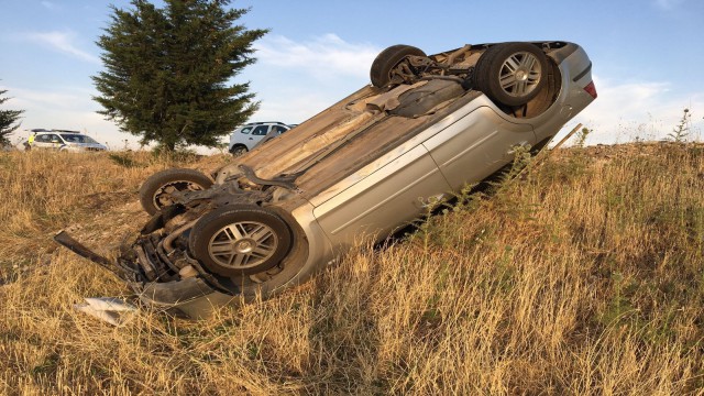Adıyamanda keklik sürüsü kazaya neden oldu