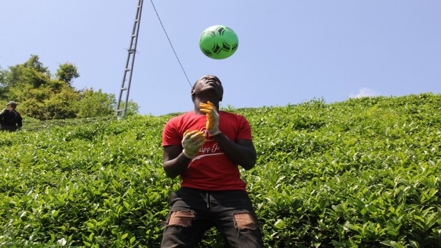 Afrikalı çay işçileri molalarını futbol oynayarak değerlendiriyor