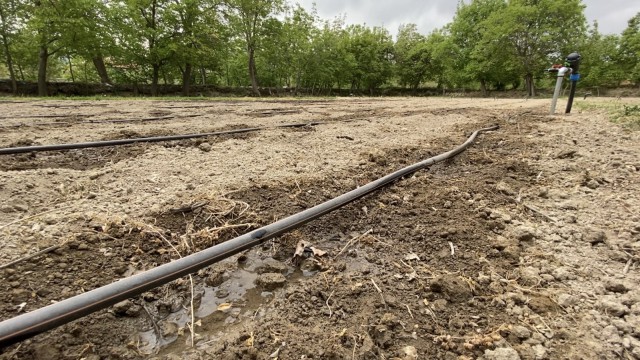 Afyonkarahisarda sulama sezonu başladı