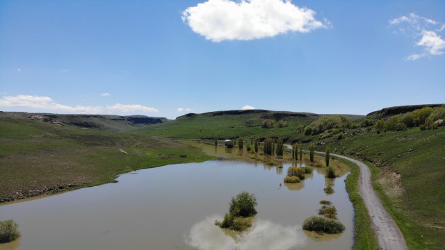 Ağaçların suya yansıması kartpostalık görüntüler oluşturdu