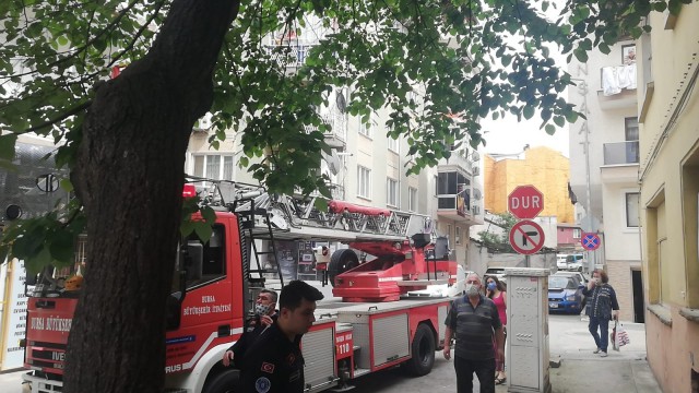 Ağaçta kalan kediyi itfaiye kurtardı