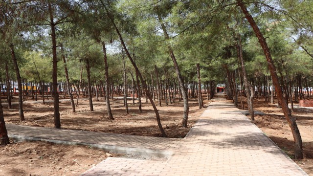 Akçakale mesire alanında çalışmalar sürüyor