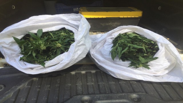 Alanyada 20 kilogram esrar ele geçirildi