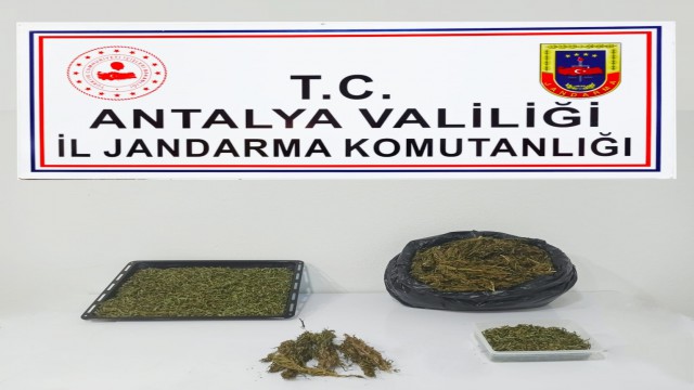 Alanyada uyuşturucu ticareti yapılan eve baskın