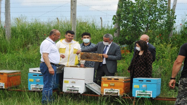 Ana Arı Üretim İşletmesinde üretilen ilk ana arıların dağıtımı başladı