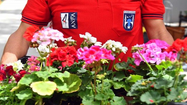 ANFA Bitki Evi yazı rengarenk çiçeklerle karşılıyor