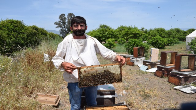 Antalyada ilk bal hasadını yapan arıcılardan, aracı tepkisi
