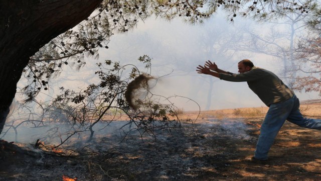Antalyada orman yangını