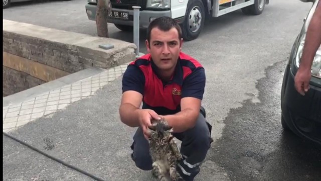 Araca sıkışan kedi itfaiye ekiplerince kurtarıldı