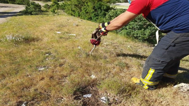 Aracın motor kısmına saklanan yılan, itfaiyeye yakalandı