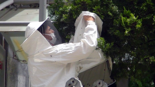 Arılar yolunu şaşırdı