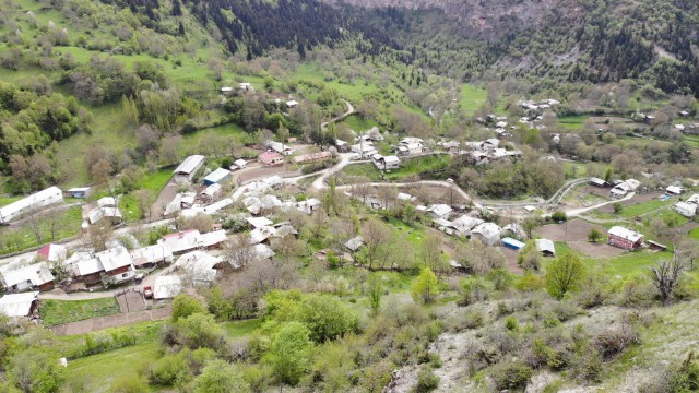 Artvinde kene kabusu geri döndü