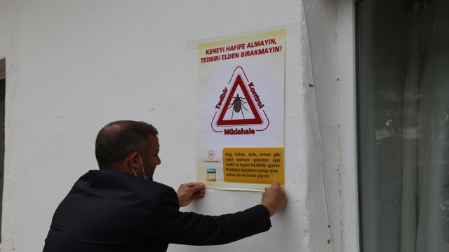 Artvinde kene vakaları artmaya devam ediyor