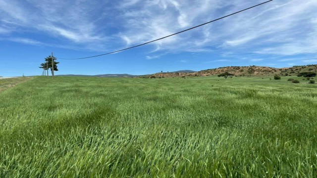 Aslanapada kuraklık tehlikesi iddiası