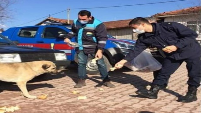 Aslanapada sokak hayvanları unutulmadı