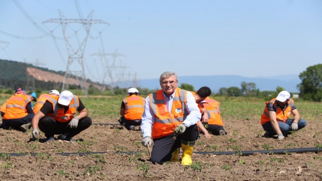 Ata Tohumları toprakla buluşturuldu
