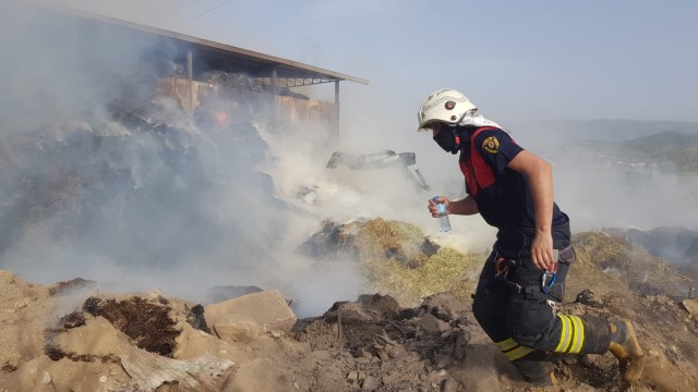 Aydında hayvan çiftliğinde yangın