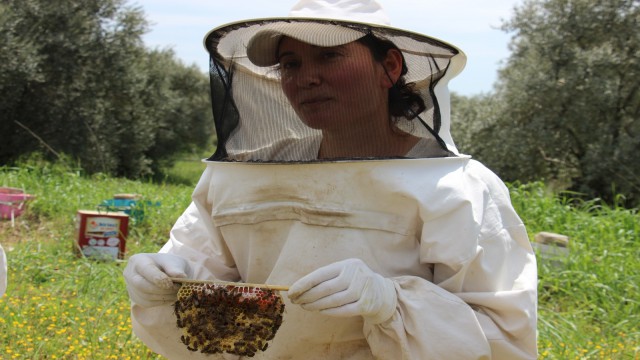Aydınlı kadınların ürettikleri anaarılar Türkiyeye dağılıyor