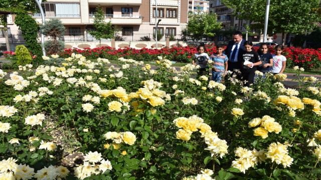 Bağlarda vatandaş huzuru gül parkında buluyor