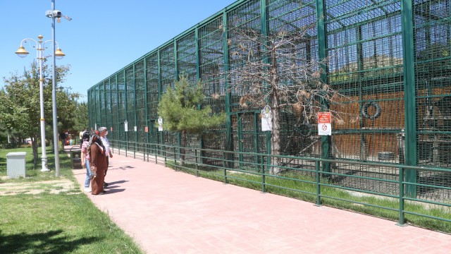 Baharla şenlenen hayvanat bahçesi ziyaretçilerini bekliyor