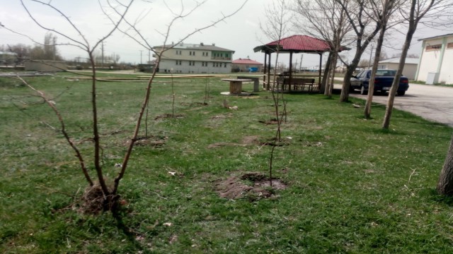 Bahçe bizden bakması sizden