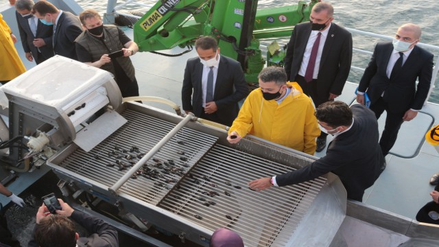 Bakan Pakdemirli Marmara Denizinde midye hasat etti