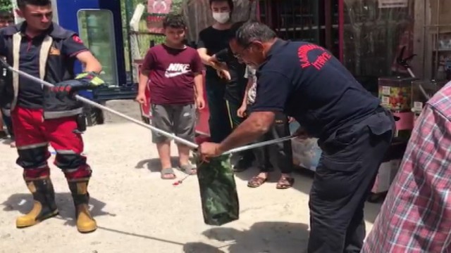 Bakkal dükkanında yılan paniği