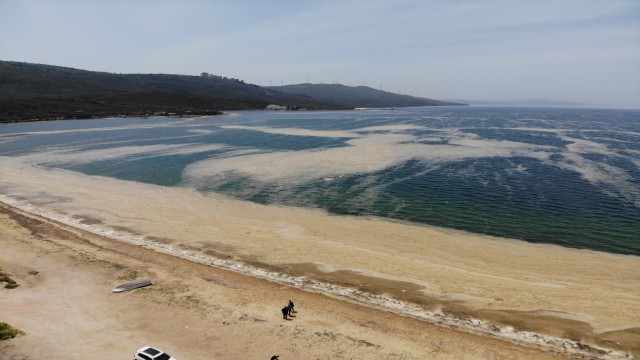 Balıkesir Valiliğinden müsilaj açıklaması