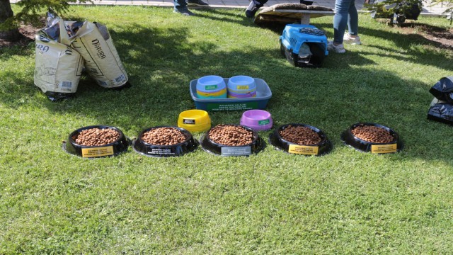 Balıkesir Valiliğinden sokak hayvanlarına özel ekip