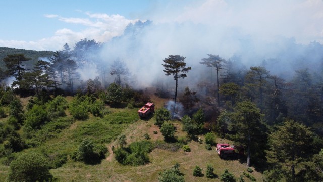 Balyadaki yangın havadan görüntülendi