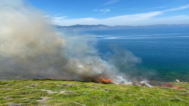 Bandırmada arazi yangını