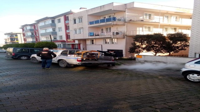 Bandırmada haşere ile mücadele çalışmaları sürüyor