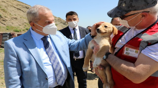 Başkan Demirtaş can dostlarını eliyle besledi