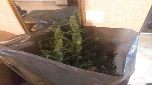 Başkentte zehir tacirlerine Şafak operasyonu