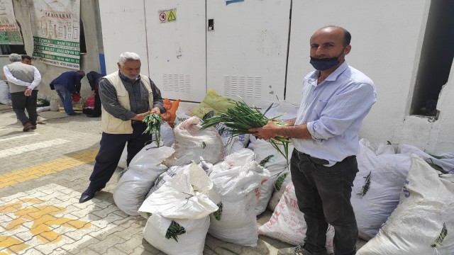 Batmanda dağ zirvelerinde toplanan pancar, İstanbulda satışa sunuluyor